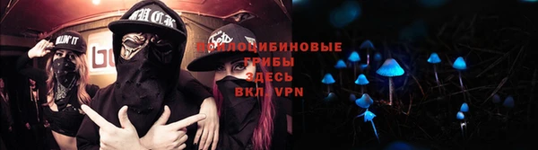 стаф Верея