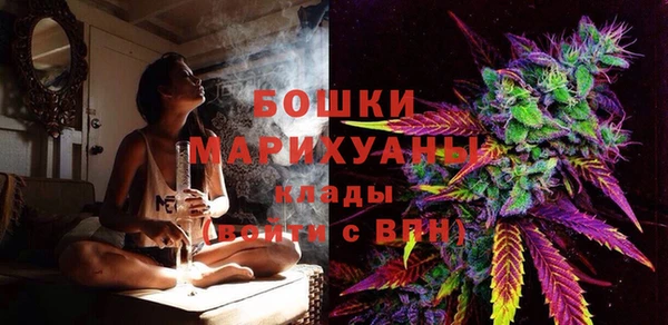 стаф Верея
