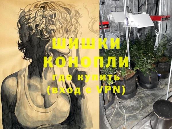 стаф Верея