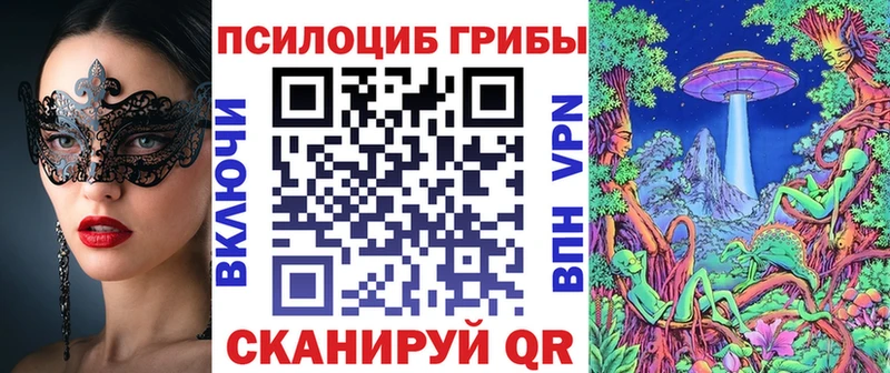 Псилоцибиновые грибы Psilocybine cubensis  Кедровый 